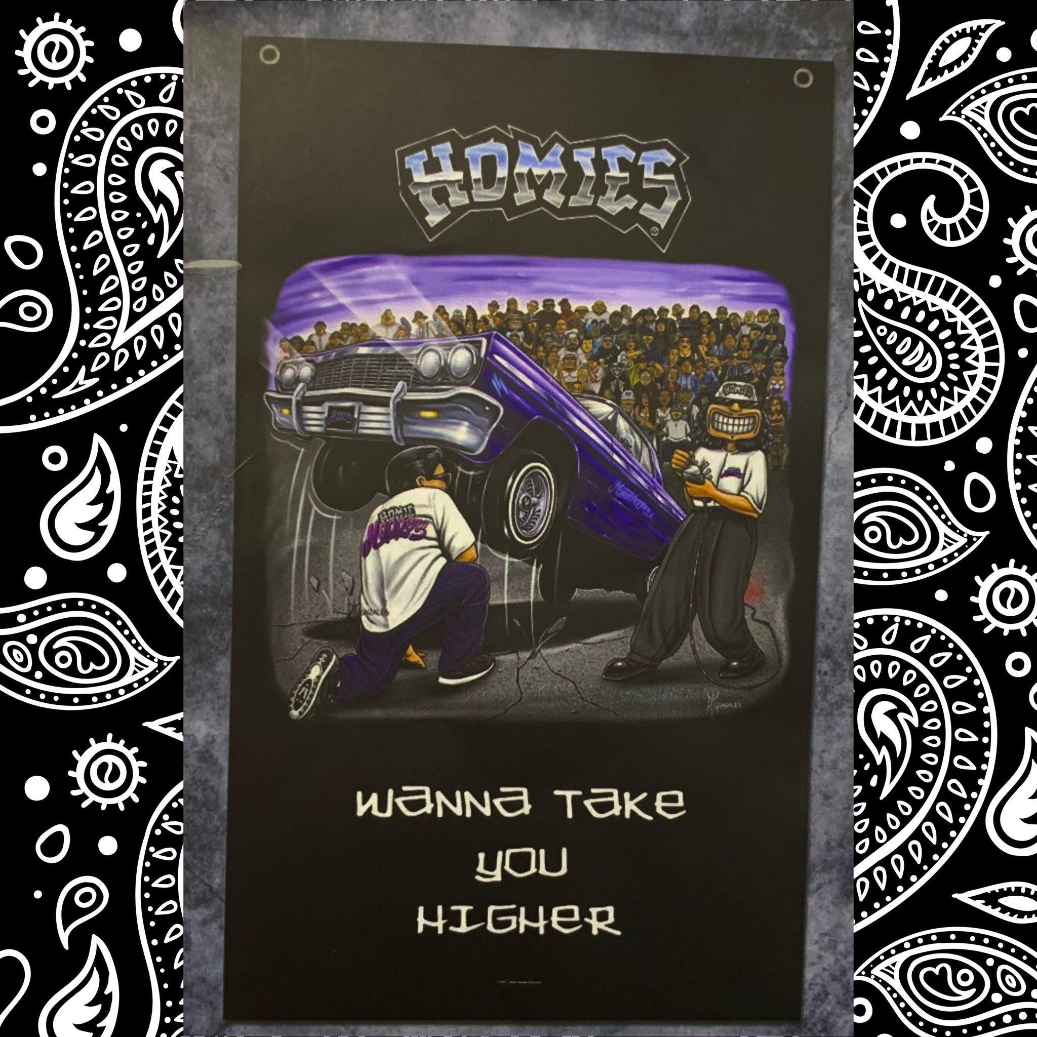 Dga Homies Banner - Wanna Take You