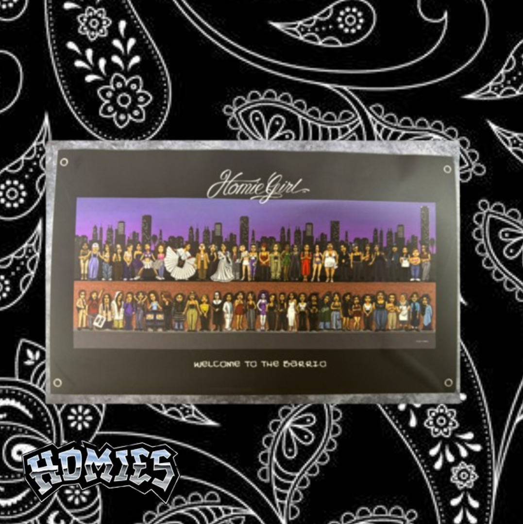 Dga Homies Banner - Homiegirl wall