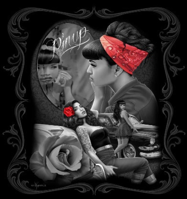 DGA Luxury Plush Edition Queen Blanket - Pin up