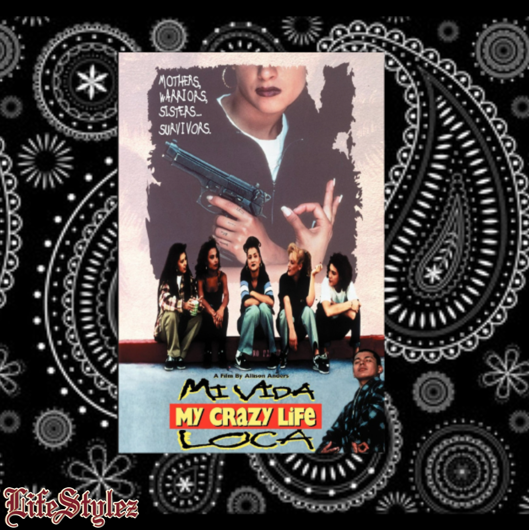 DVD collection